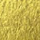 Arabic Gold